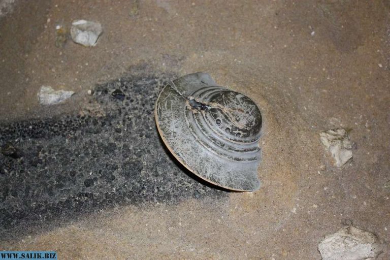 6b586d4b04c88b65cb72c24f43bf9167