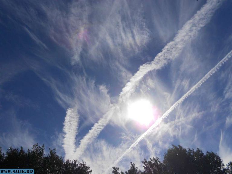 6ba11040296b41d9c0690a8e856c3e35