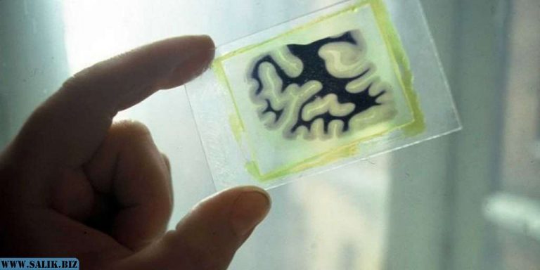 6e306b59275908ba1e6b6b670450d1be