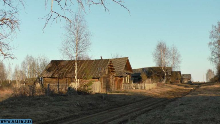 77b732928446611e9a5cdbfc91b8cf1b