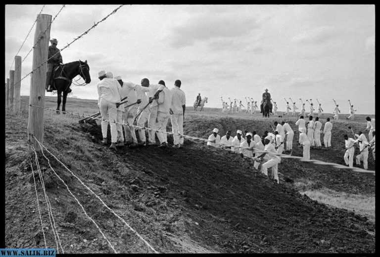 7d048da05a9afa606e15bb20467f5662