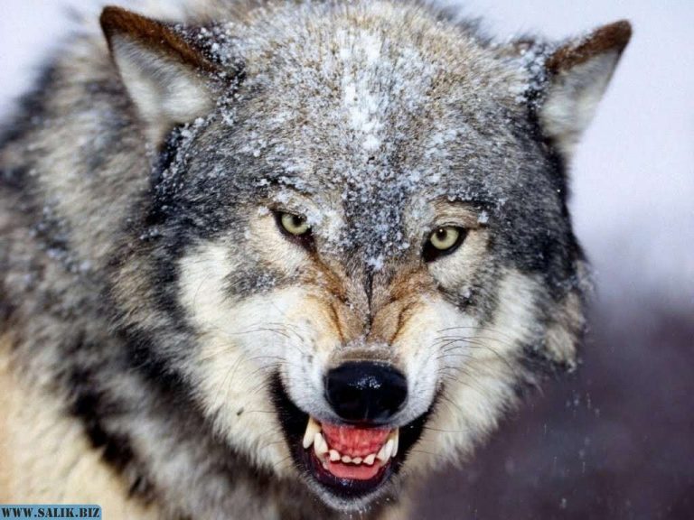 867e0dfc894cbefb899ac14f6e0940d6