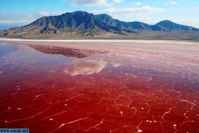 88ad3577230fa79a376a9b55f5552879