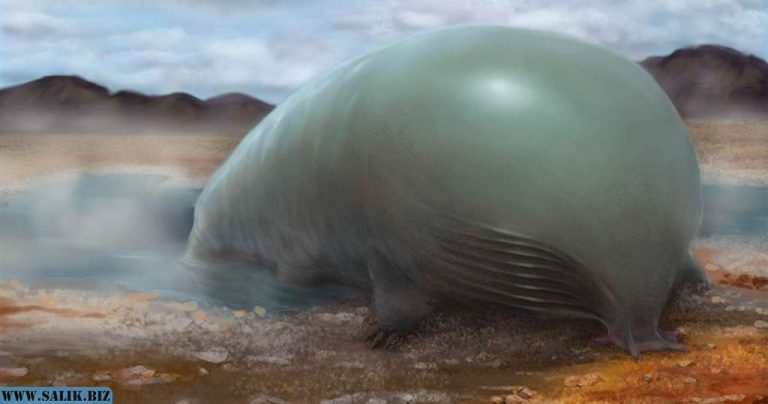 89ce8df50ef3e03e297c8feb780c2eeb