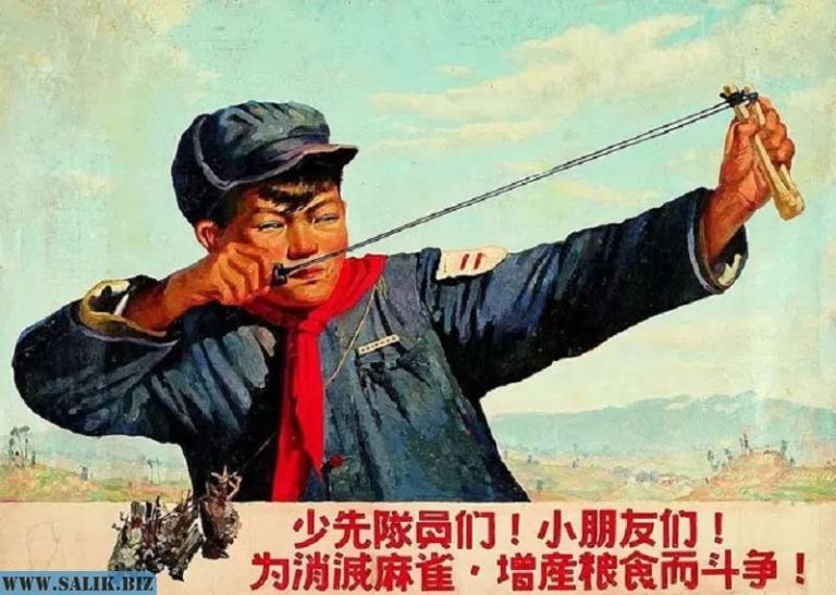 ae7c0e224d7ff5b6b15ebfae63e6fef3