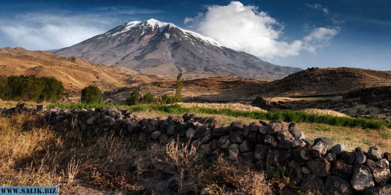 af6c2189028be26db12dda243fb6fdd5