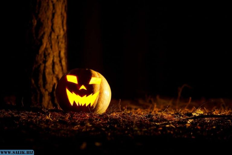 b03e5a18c0a24a5bfbaf4d60d834ccba