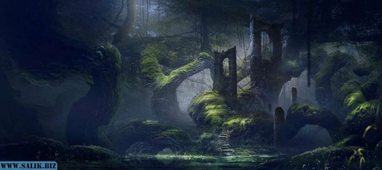 b068d67e3f4681d0dd3e91e117c04e5b