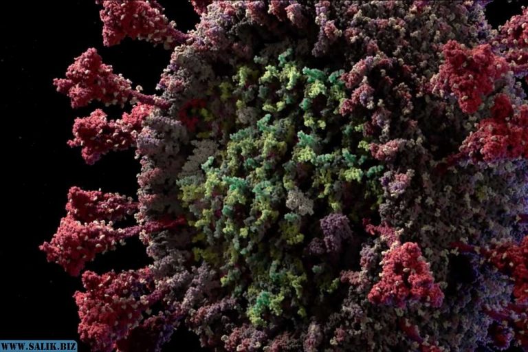 bd192f4ced5e8e283db1c16946f7d207