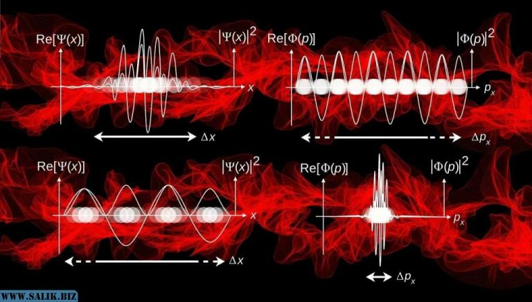 bd682e8abc1bea3d57a5397f342d93de