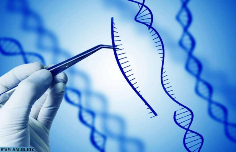 c4f8157e7510e146f0cdfdaf7d237275