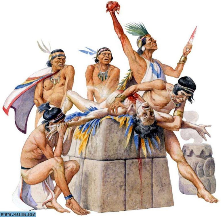 c55ab1b6aff2e654facdf10e61923c4c