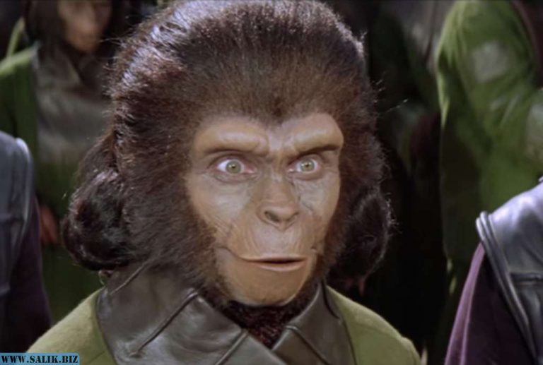 c681601e70682a5b65959708fc219e5c