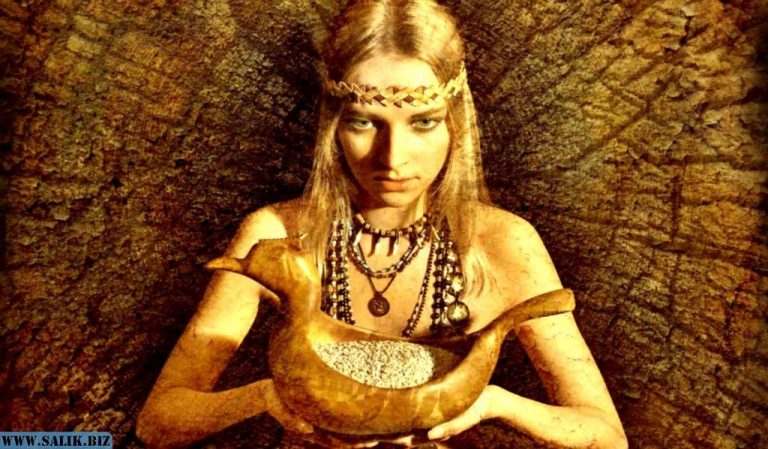 c87d49533cf38b47425061526a109fc7