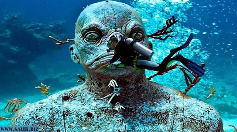 cd272428668d9ad22954a06cdfa08398