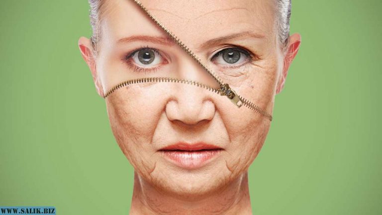 ce6f62c7a2d7d9477a73d91eefe2774b