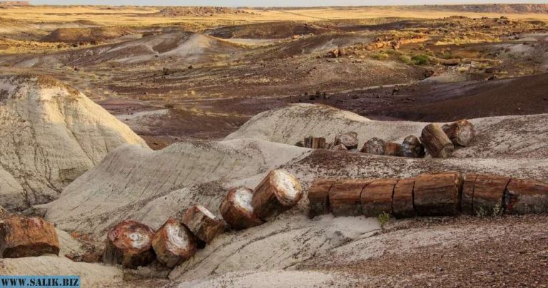 ce96b2eb951d746df4534f37aee9180c