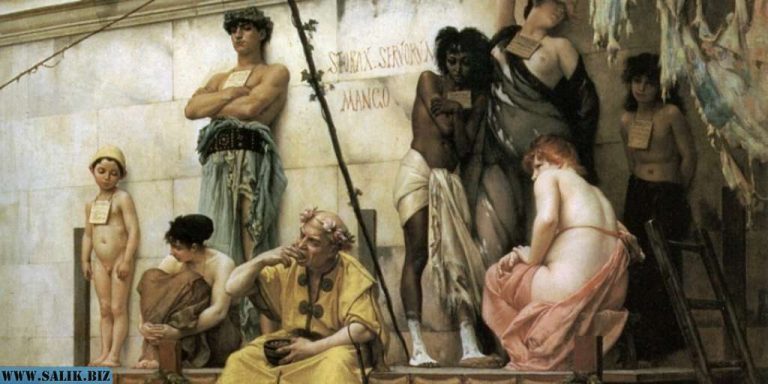 d81dd5fed5ba4caa5f31c89f43b33d13