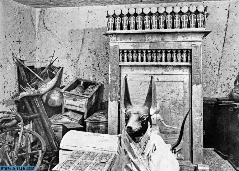 dd2b4f31891b610661e6972b367f3337