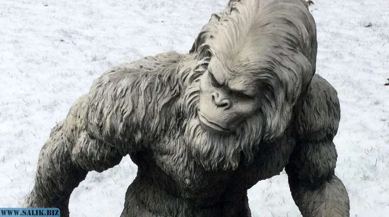 ddc227d6e573b70ddc2936eeec1ae981