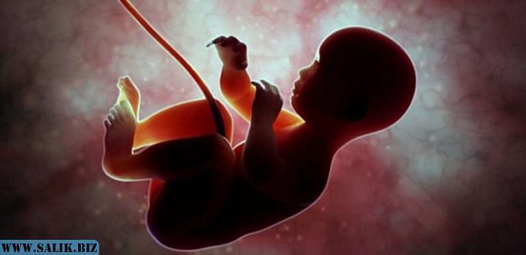 de6303cae108aa42177fb56450b8a4be