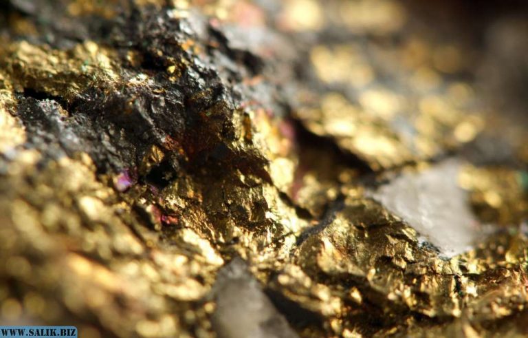 e2067936682a5cd3b633ffdd0405179c