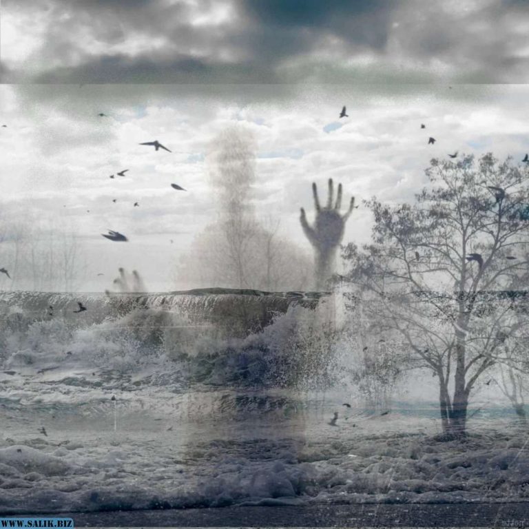 f3f3628c534d82d151bc821c3b97a073