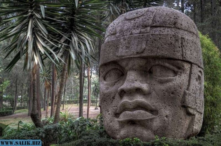 fca1a2596af87d55ea1ec33d5dbf47f1