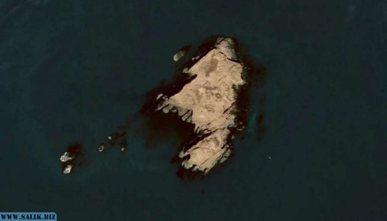 ff5c6731ca0c529a31913af4bad6d6f6