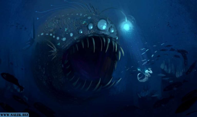 0b148a9acfdb6963b2b2cb17934428a9