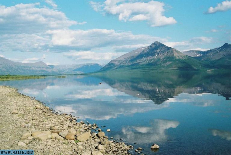 122f499507fdeed52fcd0b1f386288b4