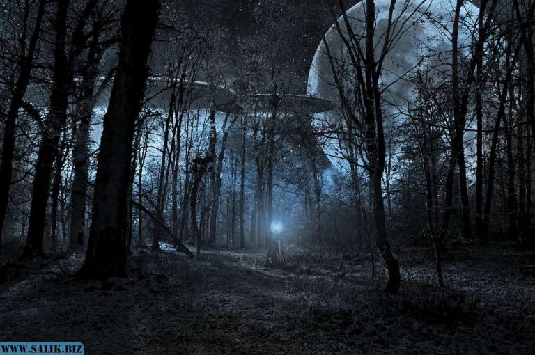 17f0a170ea1caa5062e54a11e064549f