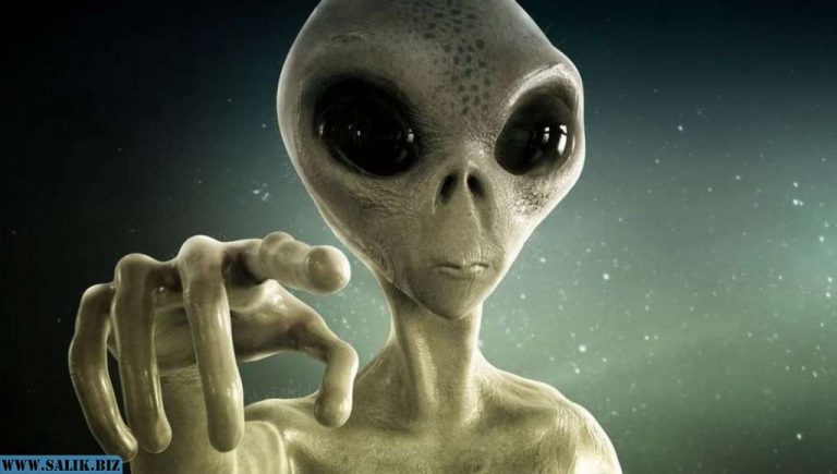 2098e73175a488c1dfc6b5d2f2800893