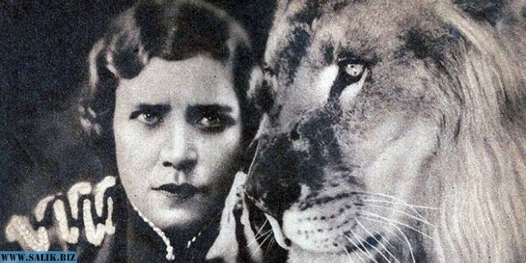 28cc17792defe60ee9b46f364450e923