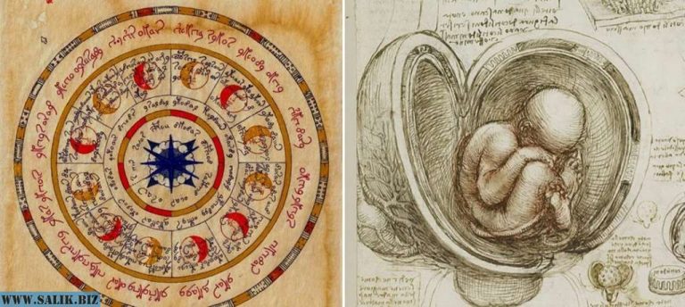 313a104a372650678af01c34ebe60544