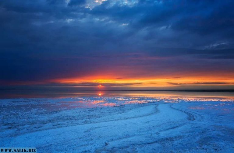 33cec5165c77b77cc96ca73b71f6fa55