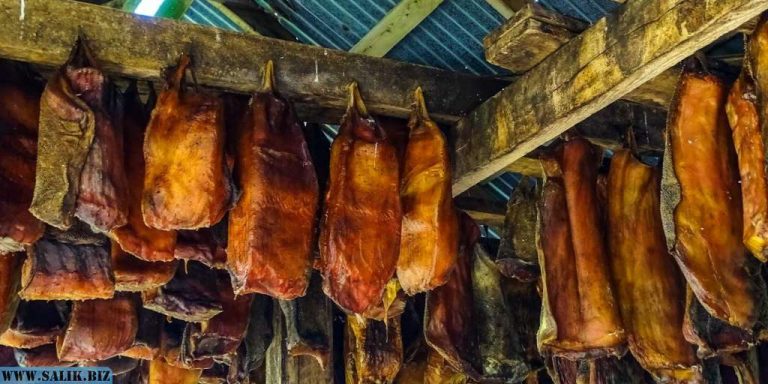 392575d8ea58ff4048981dcc9df507a5