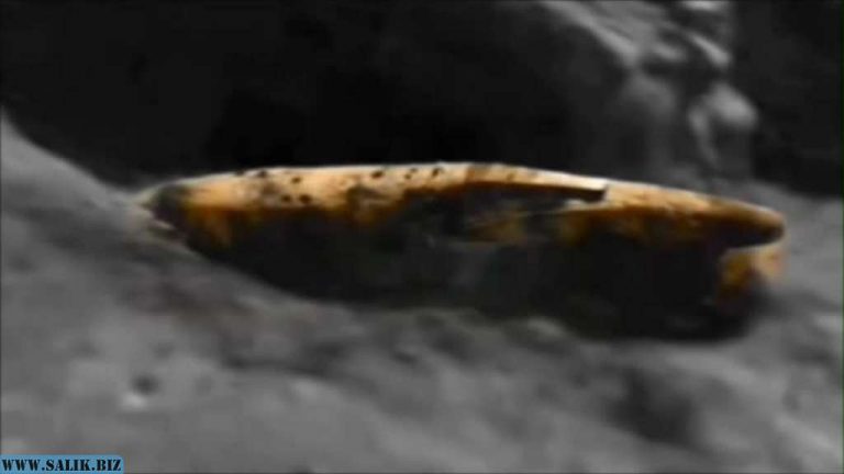 3cb49d6af0984aef7f1f9fc6b5ed5ab4