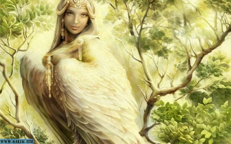 3d7f3e2f3c02692a222350d443799905