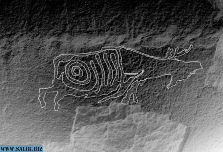 413a07d542a2f1f8bf9ea0d862a116e8