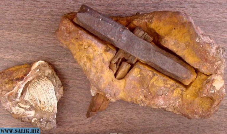 439a1a2d2a87c480223329e93c96a116