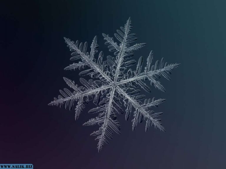 47969040dc2f6ad6a3307198a7c5f85f