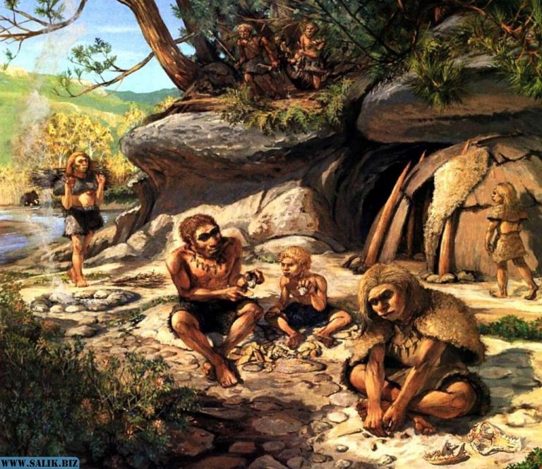 5062e53bf1462b9fe3747d21870d9517