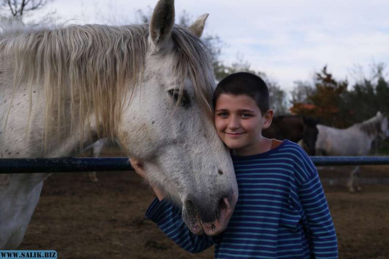 6078de9e2ac2ee92b4eb7c9ae17e1e37