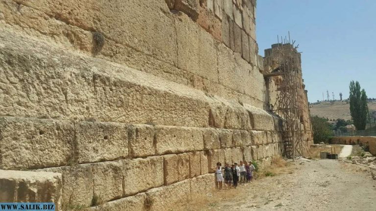 631ff228370ee8ea9fe4fc37114fd5d3