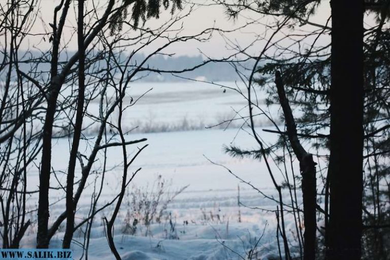 7a60d870fa4417dbf7f88b7296589fd5