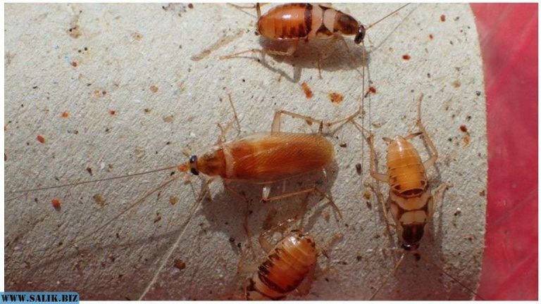 7caee0d4eb5df5ba3001e44cf1b6a398