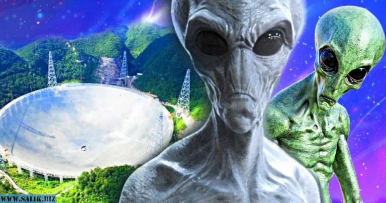 85d5b6028f584d2262962baa9eee2fea