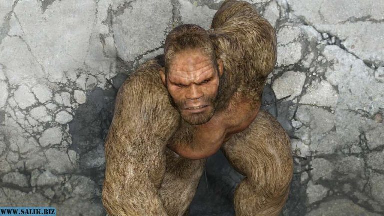 86495fc8ca0e8c25f5c1d80135ce9537