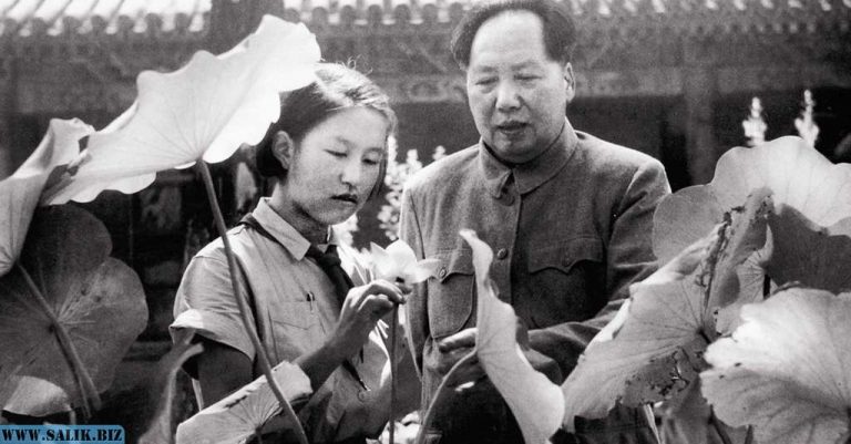 8c1005575fb9f0741eb880badfa8ed12